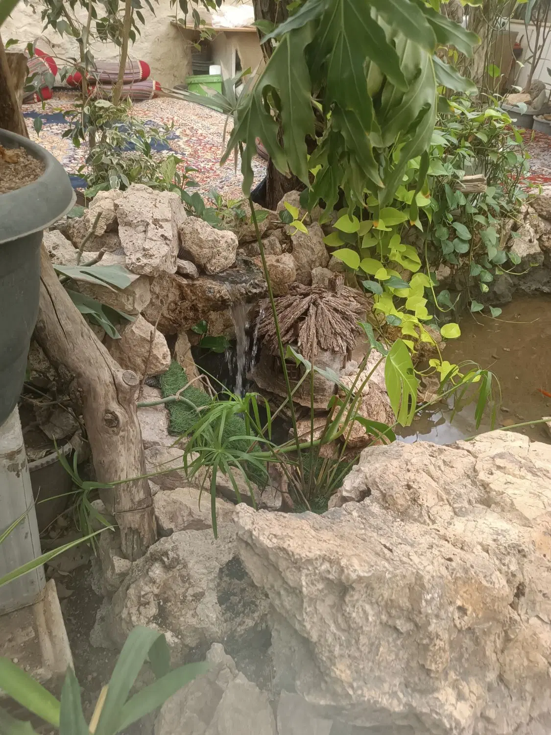 ملک کلنگی خیابان درمانگاه