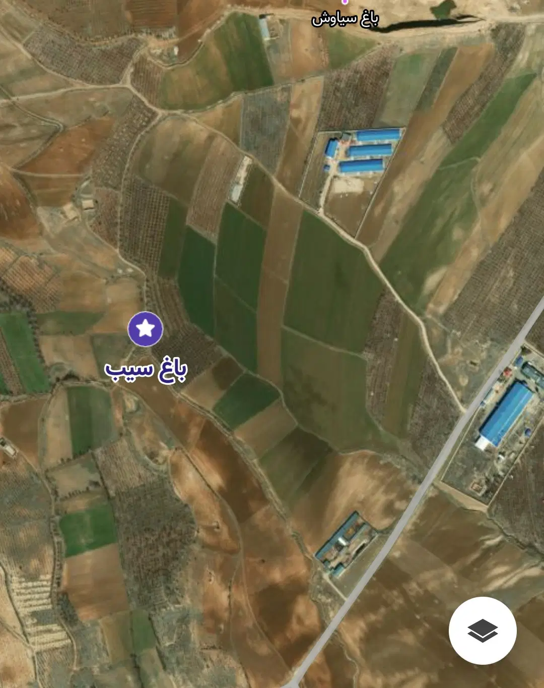 باغ سیب