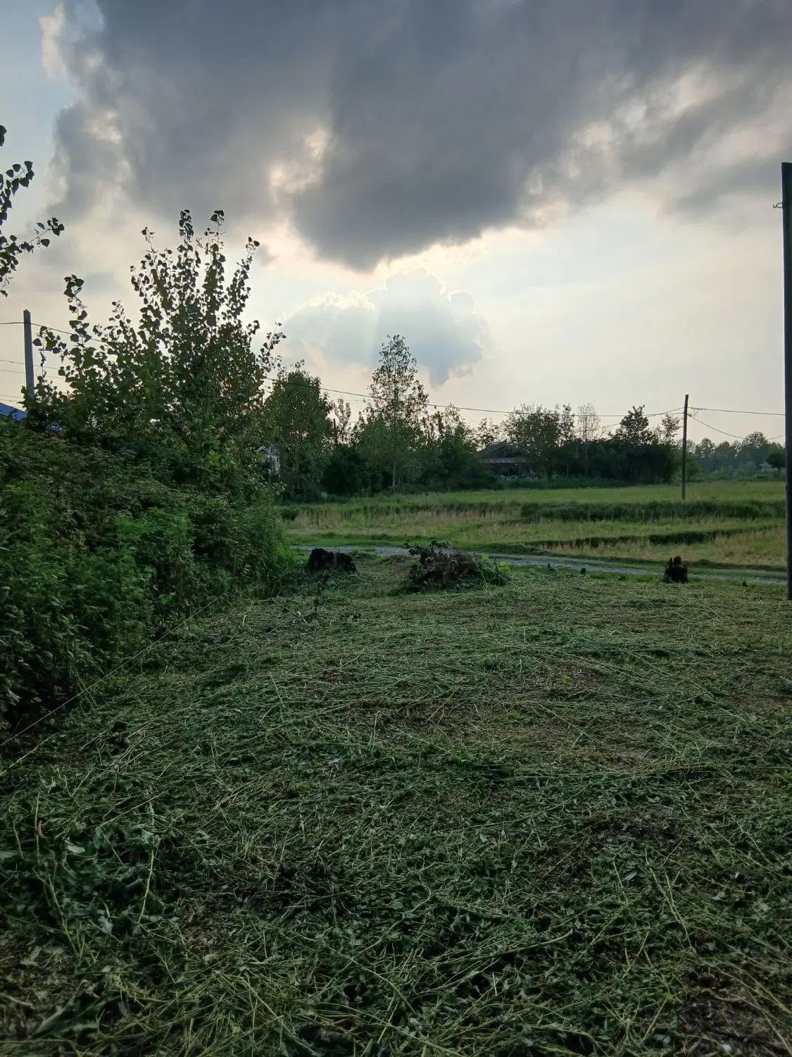 زمین مسکونی سنگر