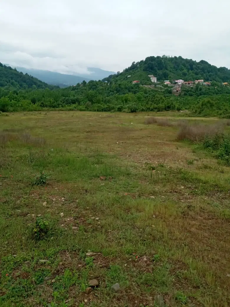 فروش زمین ۱۰۰۰ متری ۳ بر در روستای توریستی داماش