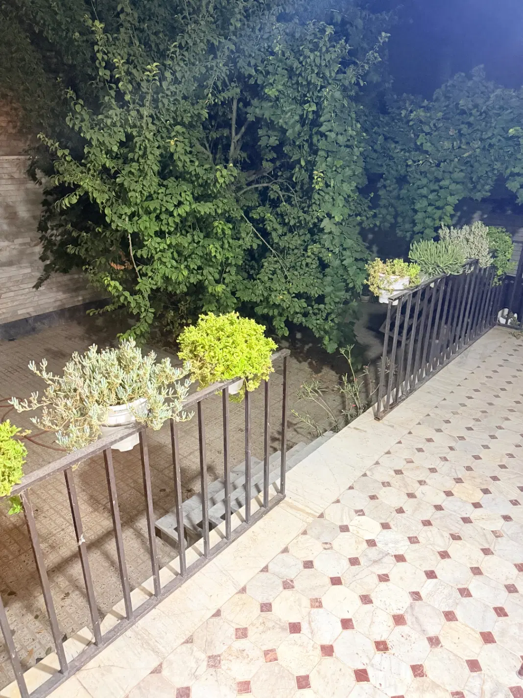 اجاره