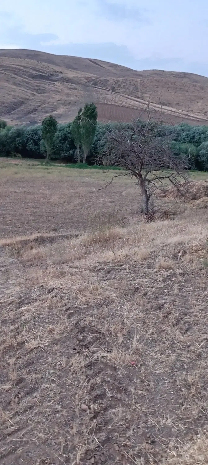 زمین کشاورزی