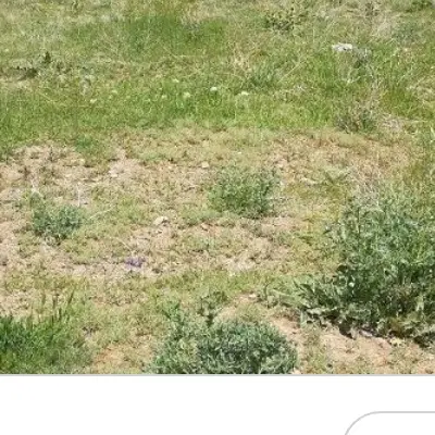 زمین مسکونی