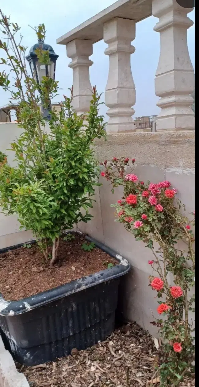 خانه مستقل و شیک دو طبقه مجزا