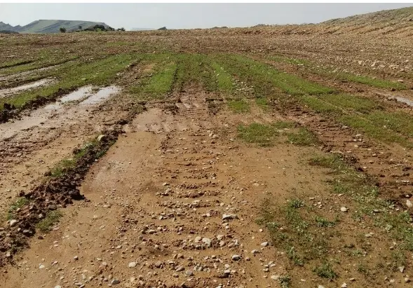 فروش زمین مخصوص خونه باغ ۲۰۰۰متر