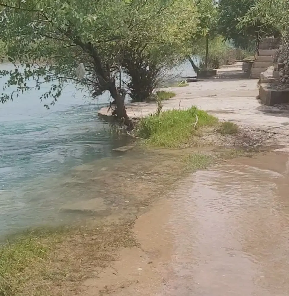 اجاره کَت در رودخانه دزفول