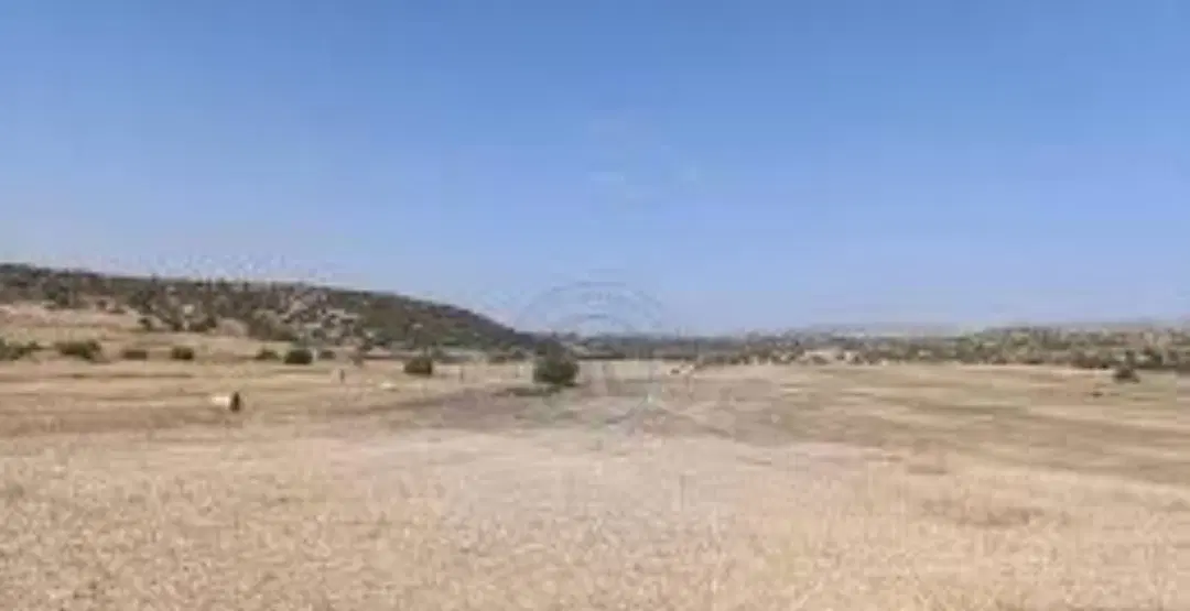 زمین ثمین 3