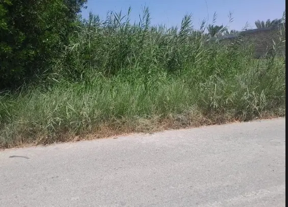 زمین فروشی