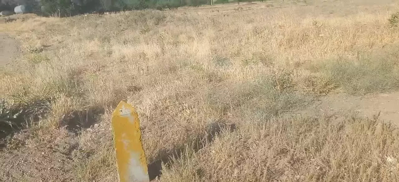 زمین کشاورزی