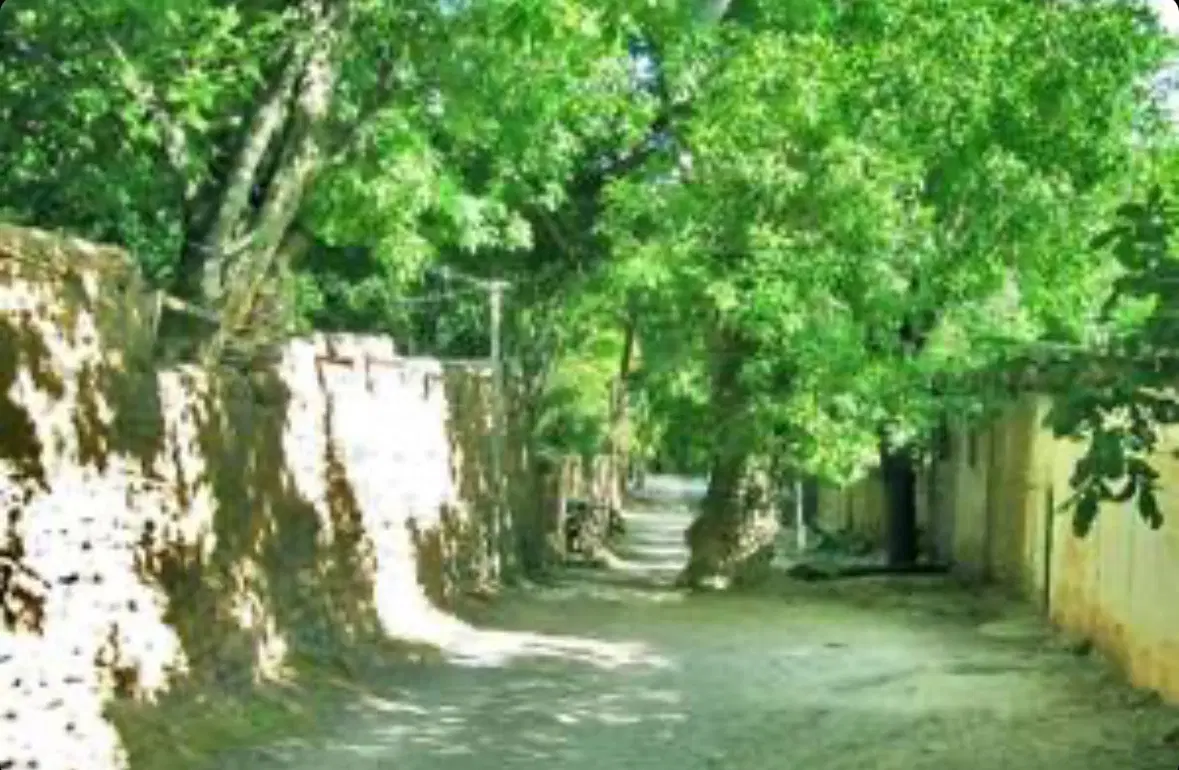 فروش زمین شهمیرزاد