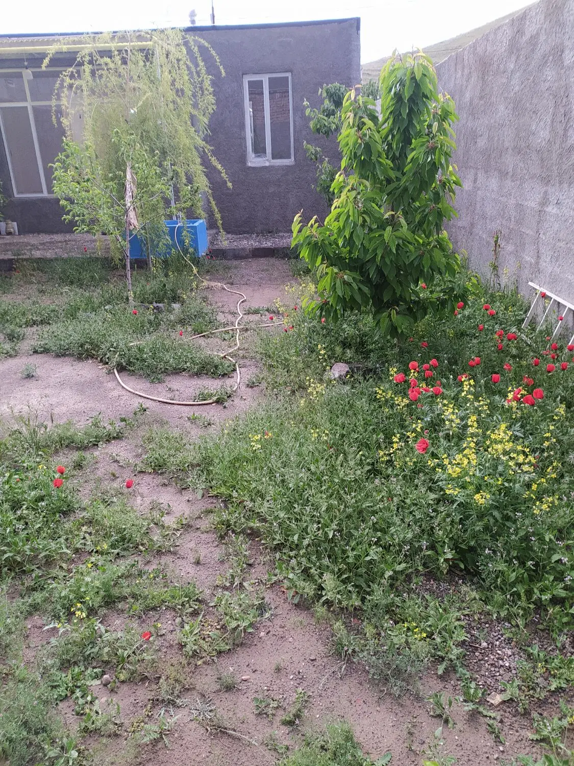 فروش باغچه در 10کیلومتری تبریز
