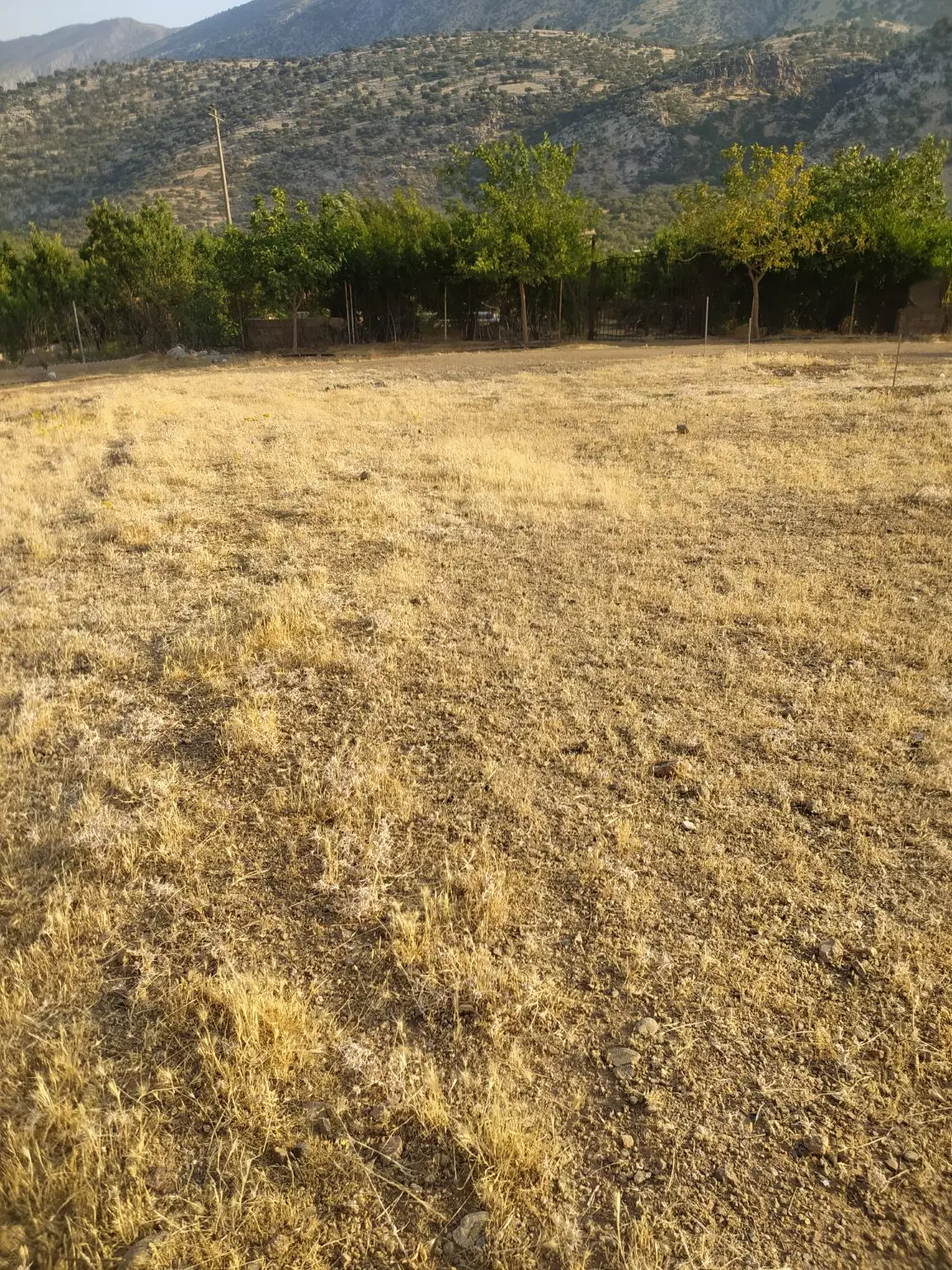 زمین باغی قلعه سنگی
