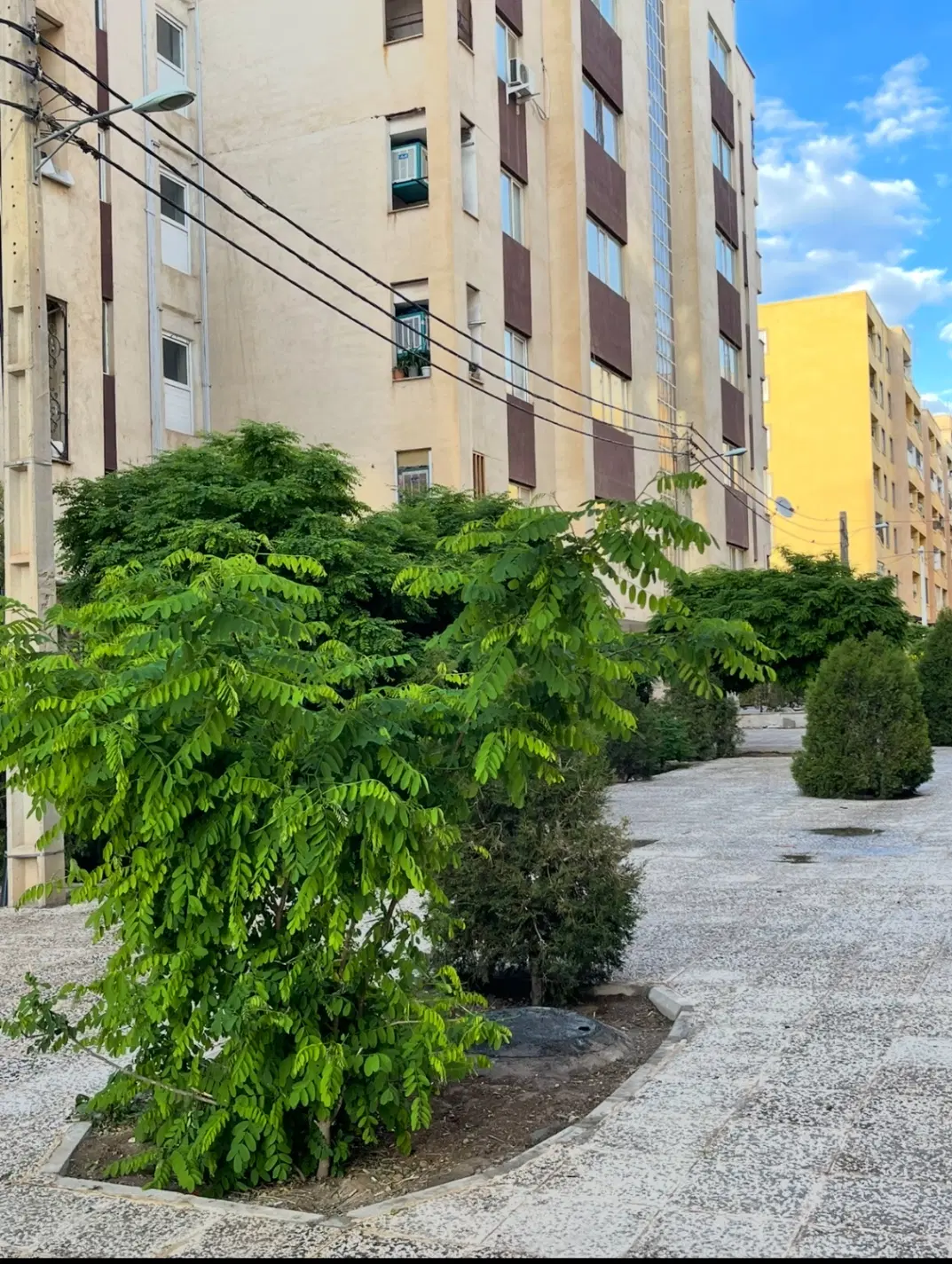 اجاره آپارتمان