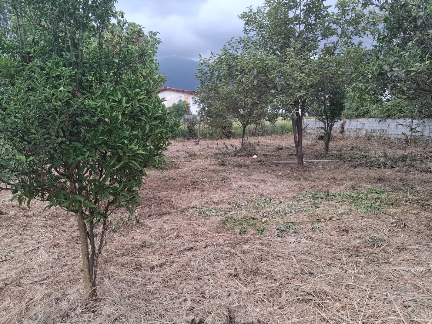 فروش زمین