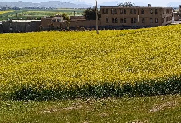 216متر زمین مسکونی مجوز 2 طبقه
