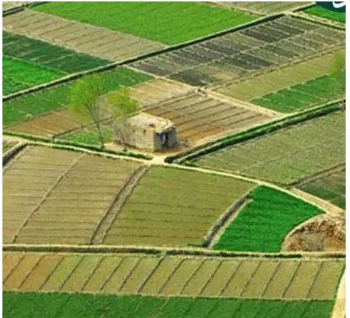 زمین
