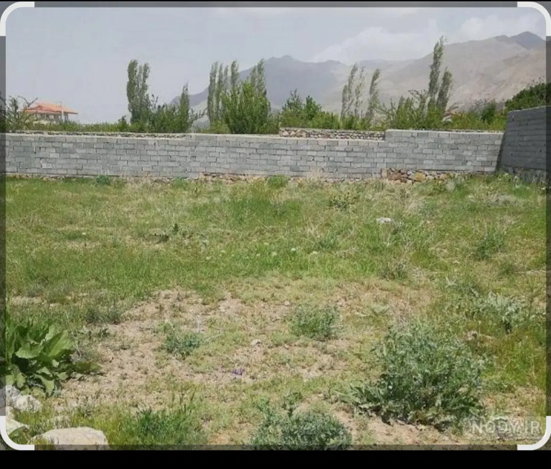 زمین