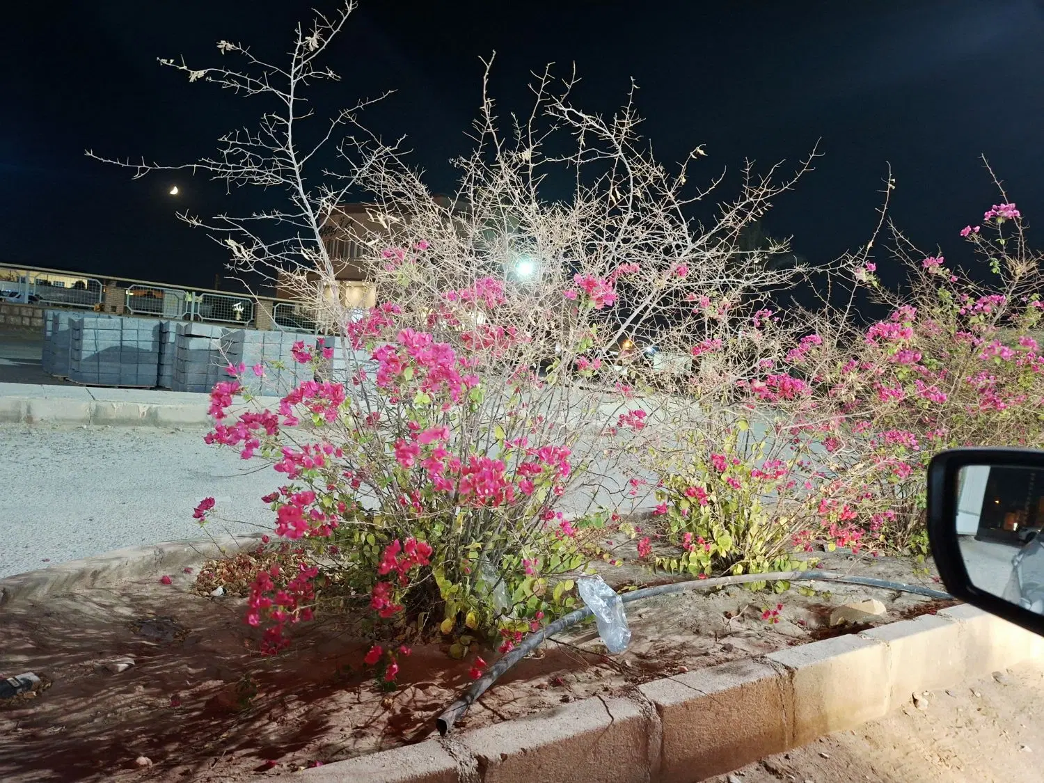 زمین مسکونی پردیس
