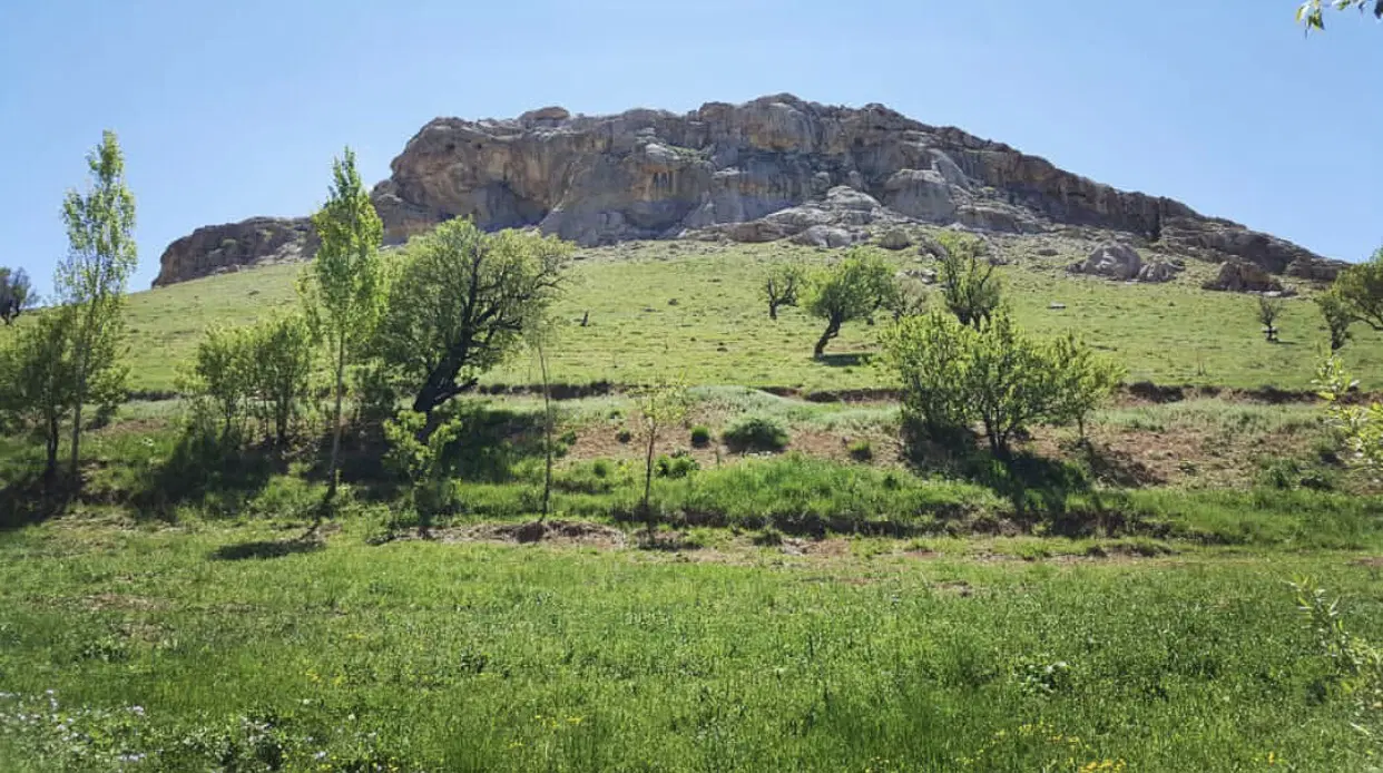 ۳۱۱ متر زمین در ایلانی