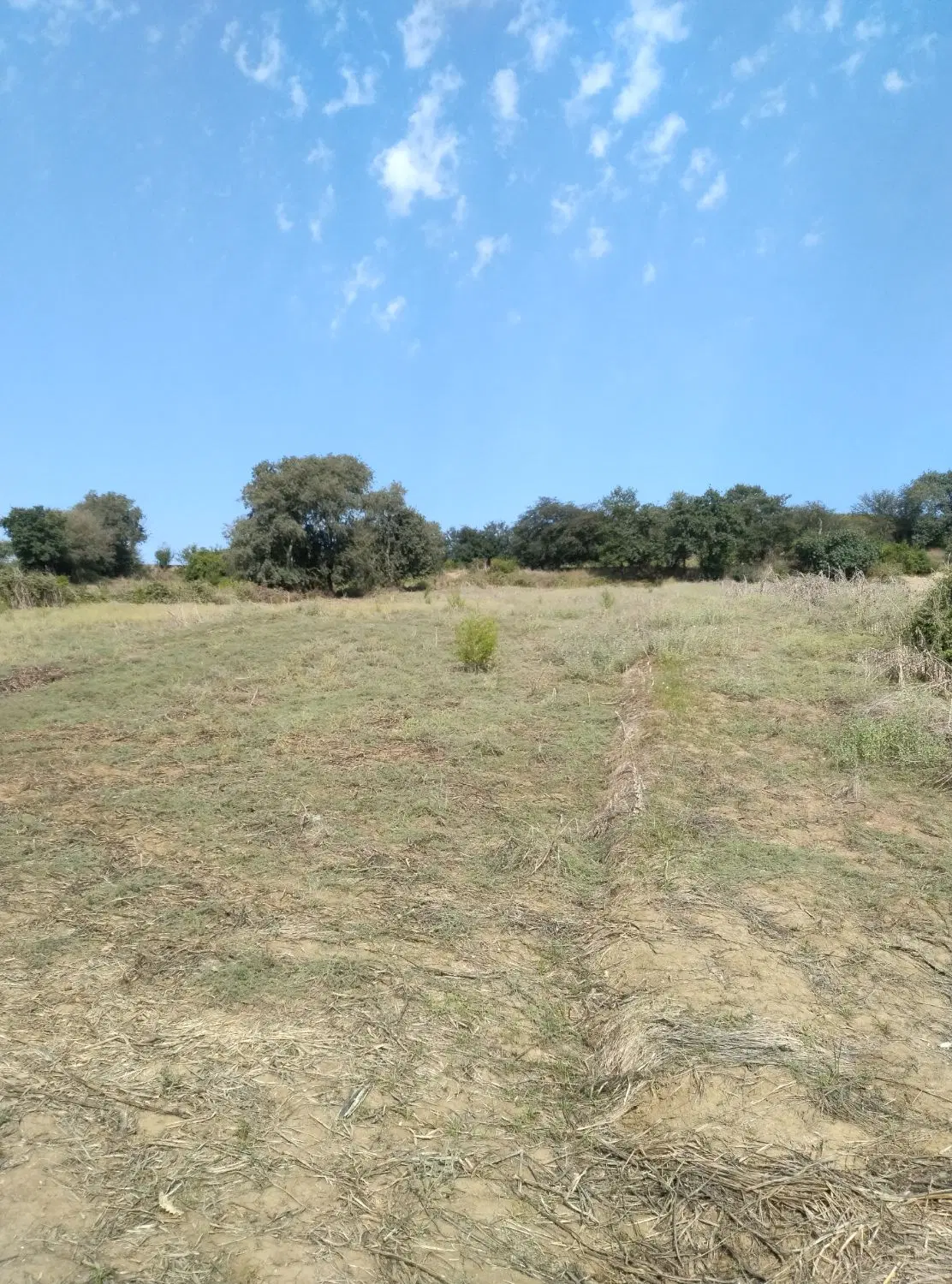 زمین کشاورزی