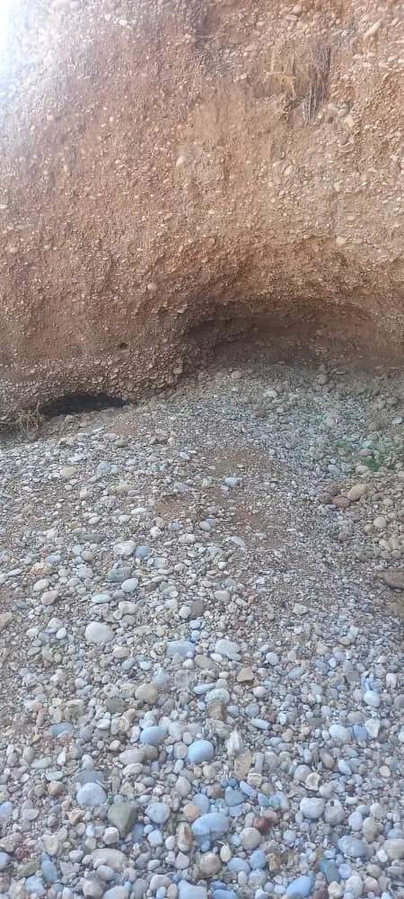 فروش دو زمین با هم عسکری و علیزادگان یامعاوضه