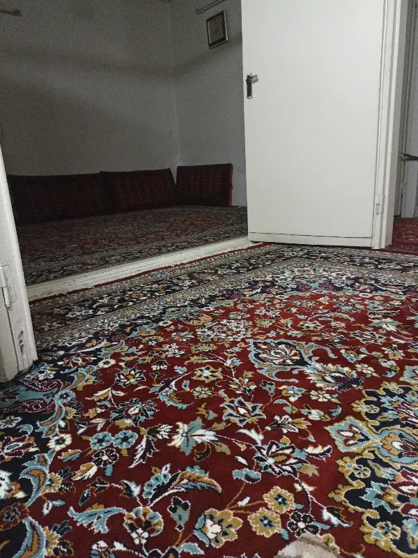 هم خانه
