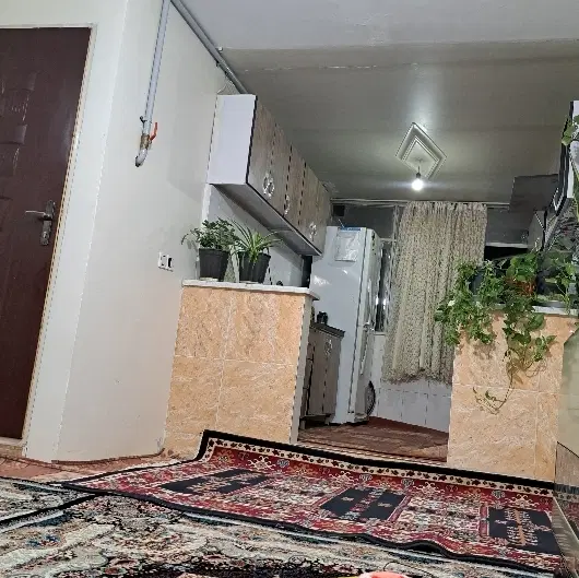اجاره واحد ۵۰ متری