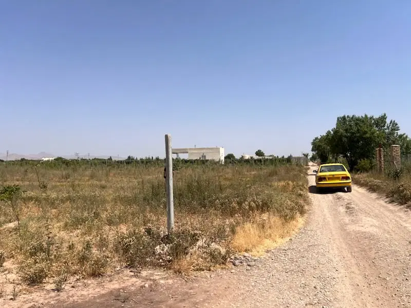 زمین تاکستان