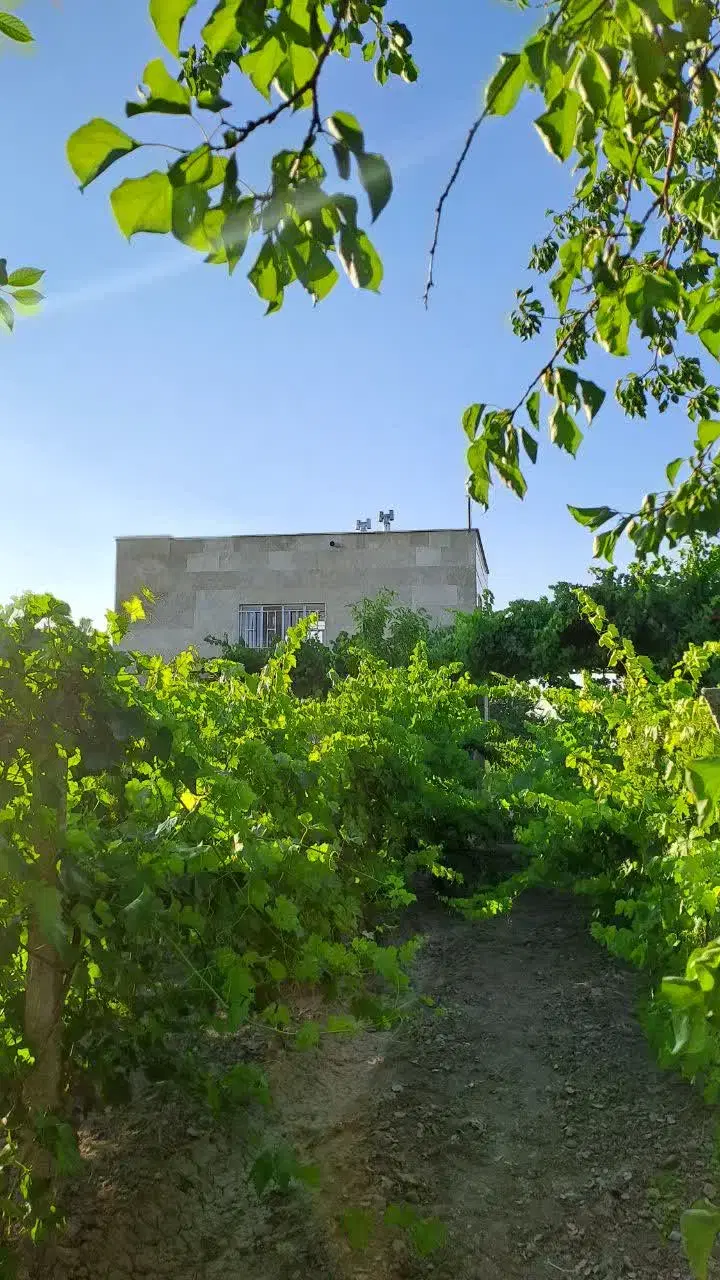 خونه باغ