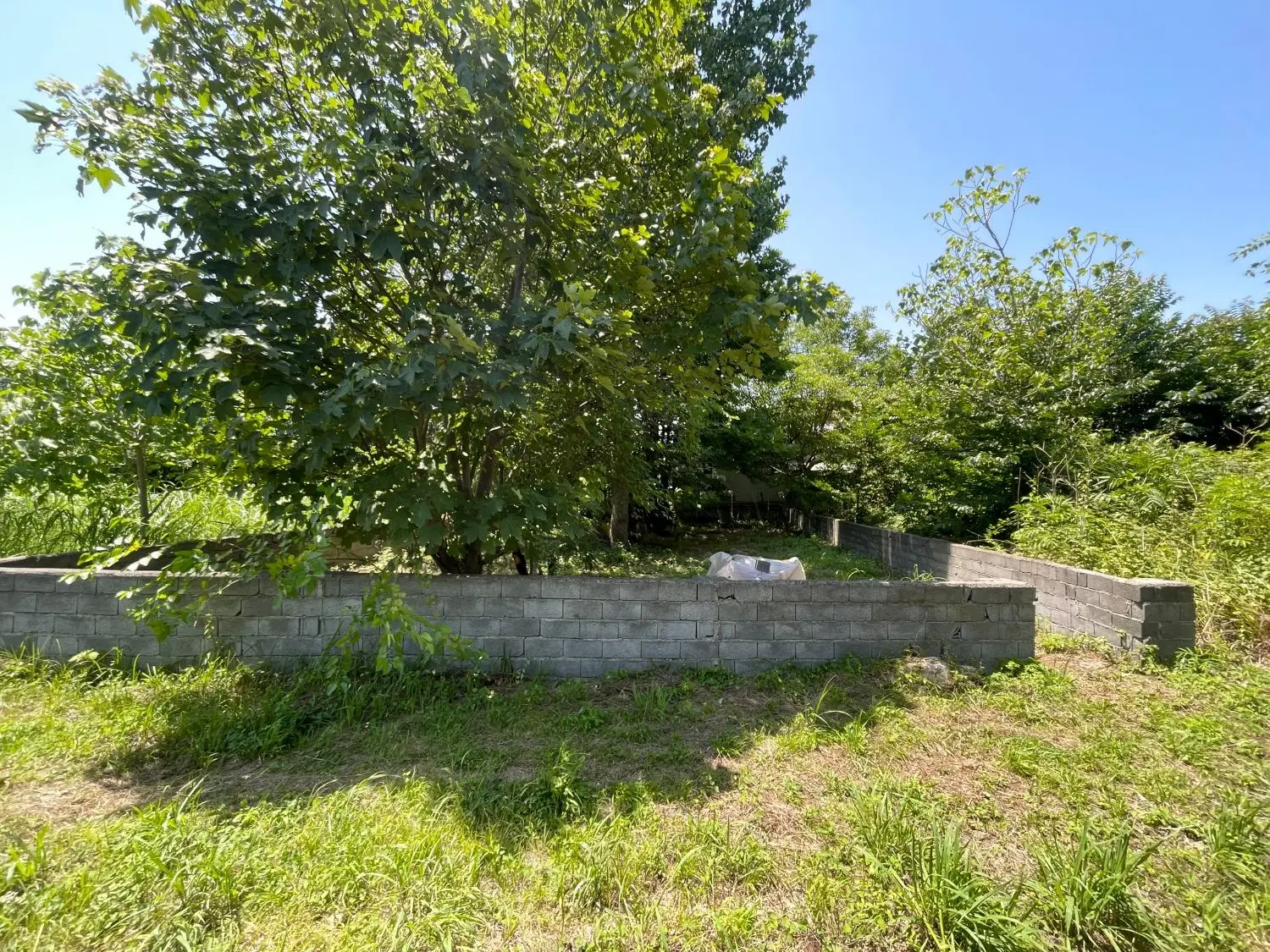 زمین کمربندی نوشهر