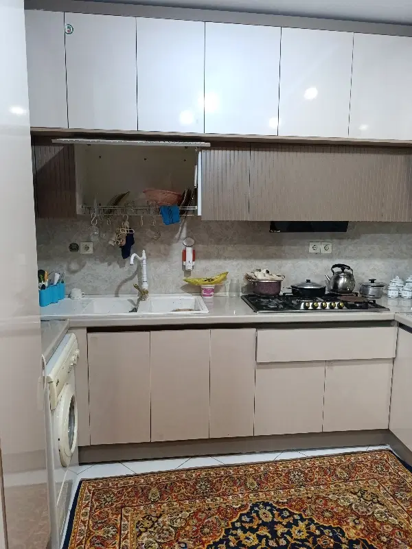 همخونه خانم خودم خانم هستم
