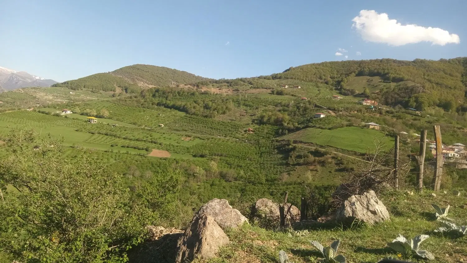 زمین کشاورزی وباغی