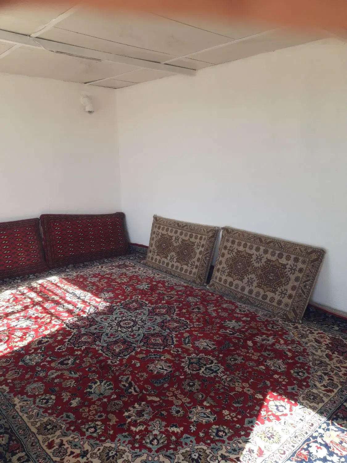 باغ۱۰۰۰ متری امیر کبیر