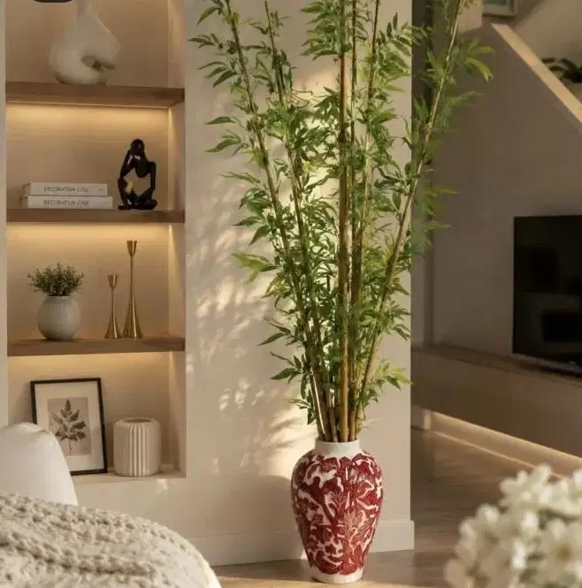 مالم گه ره ک بوکرایه