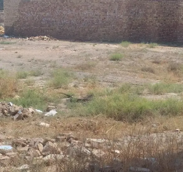 زمین