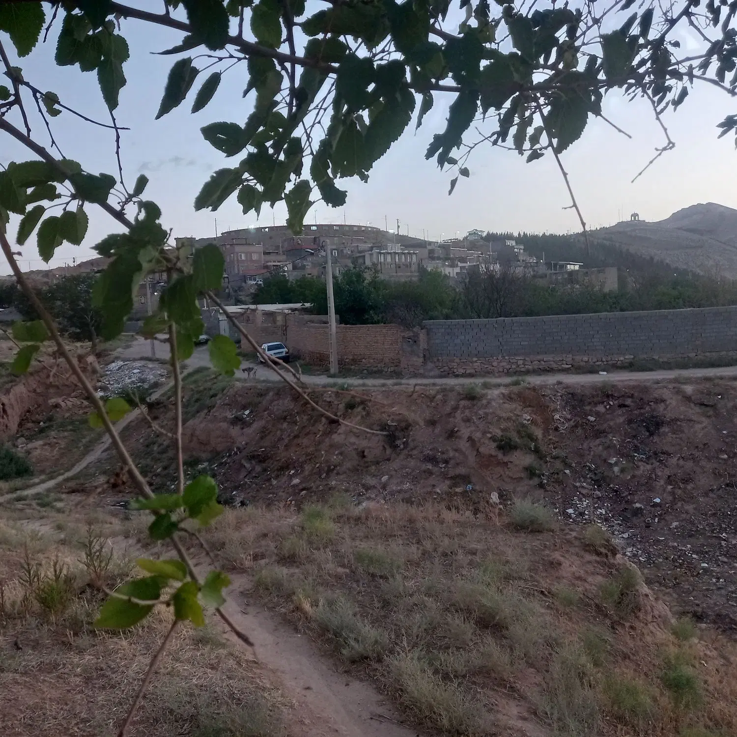 فروش زمین باغی