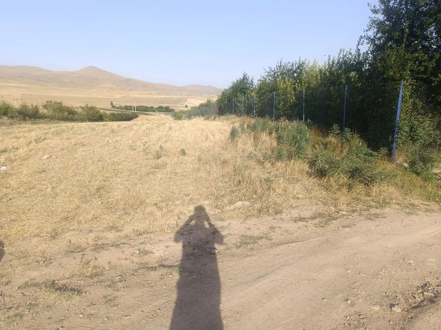 زمین زراعی