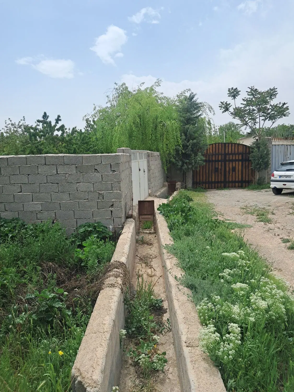 باغچه چهار دیواری