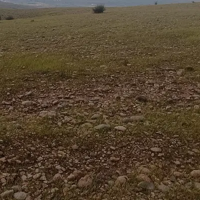 90زمین در طرح 15_5هکتاری چمگلک