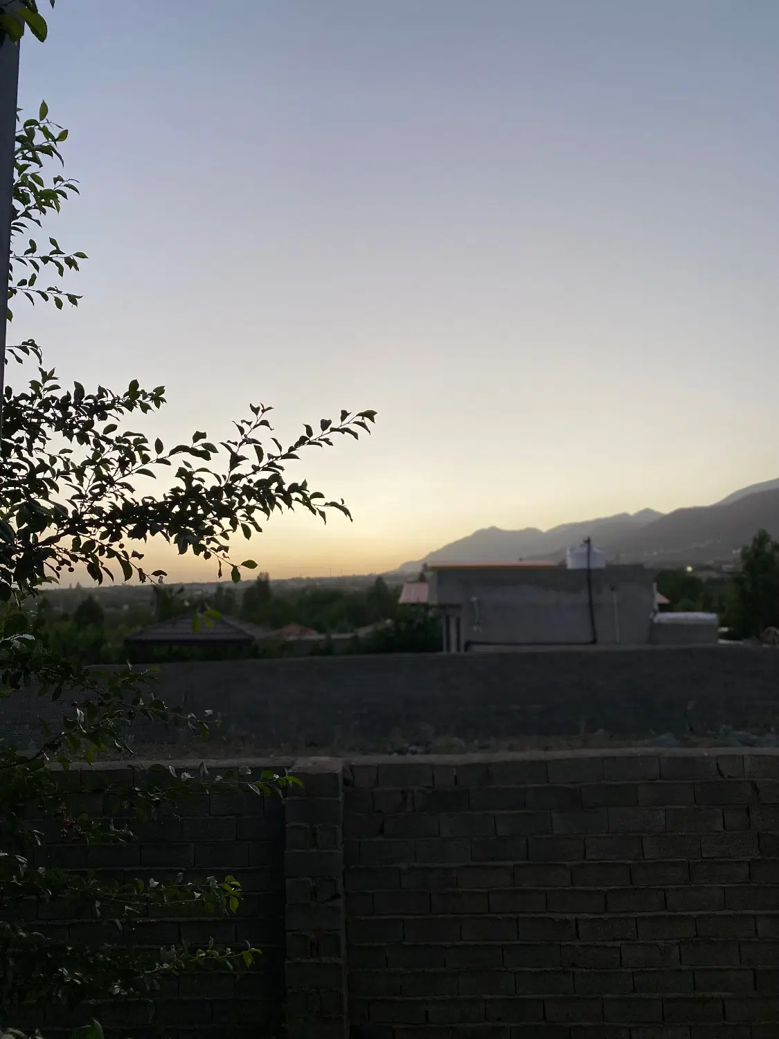 باغ و ویلا