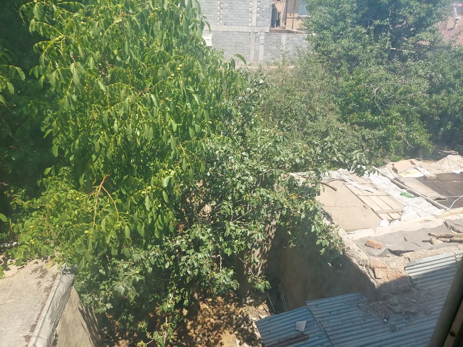 زمین تجاری