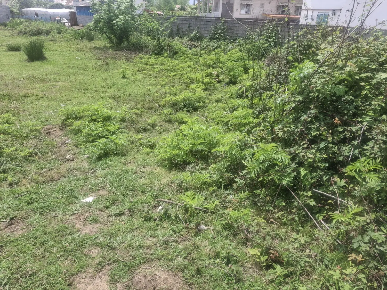 2 هکتار زمین