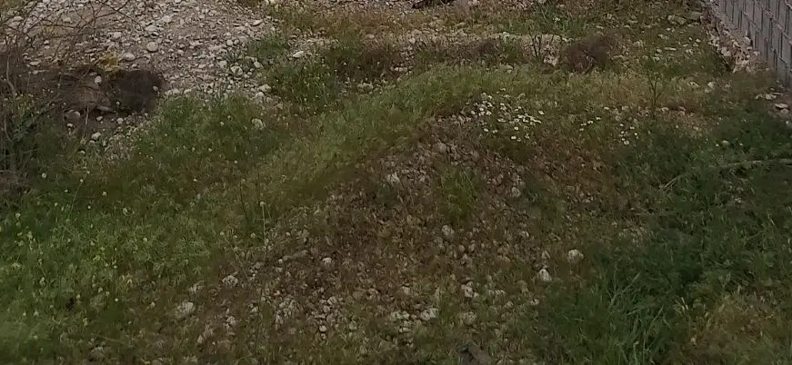 زمین امیر آباد