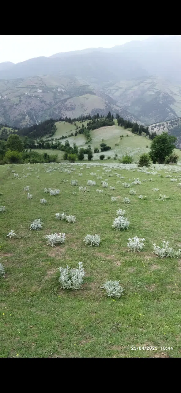 زمین کشاورزی مثتسنیات