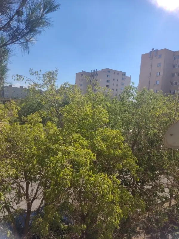 رسالت. خطیب . راه آهن. نصف راه