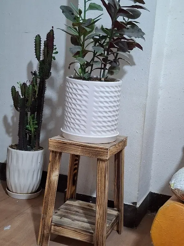 همخونه