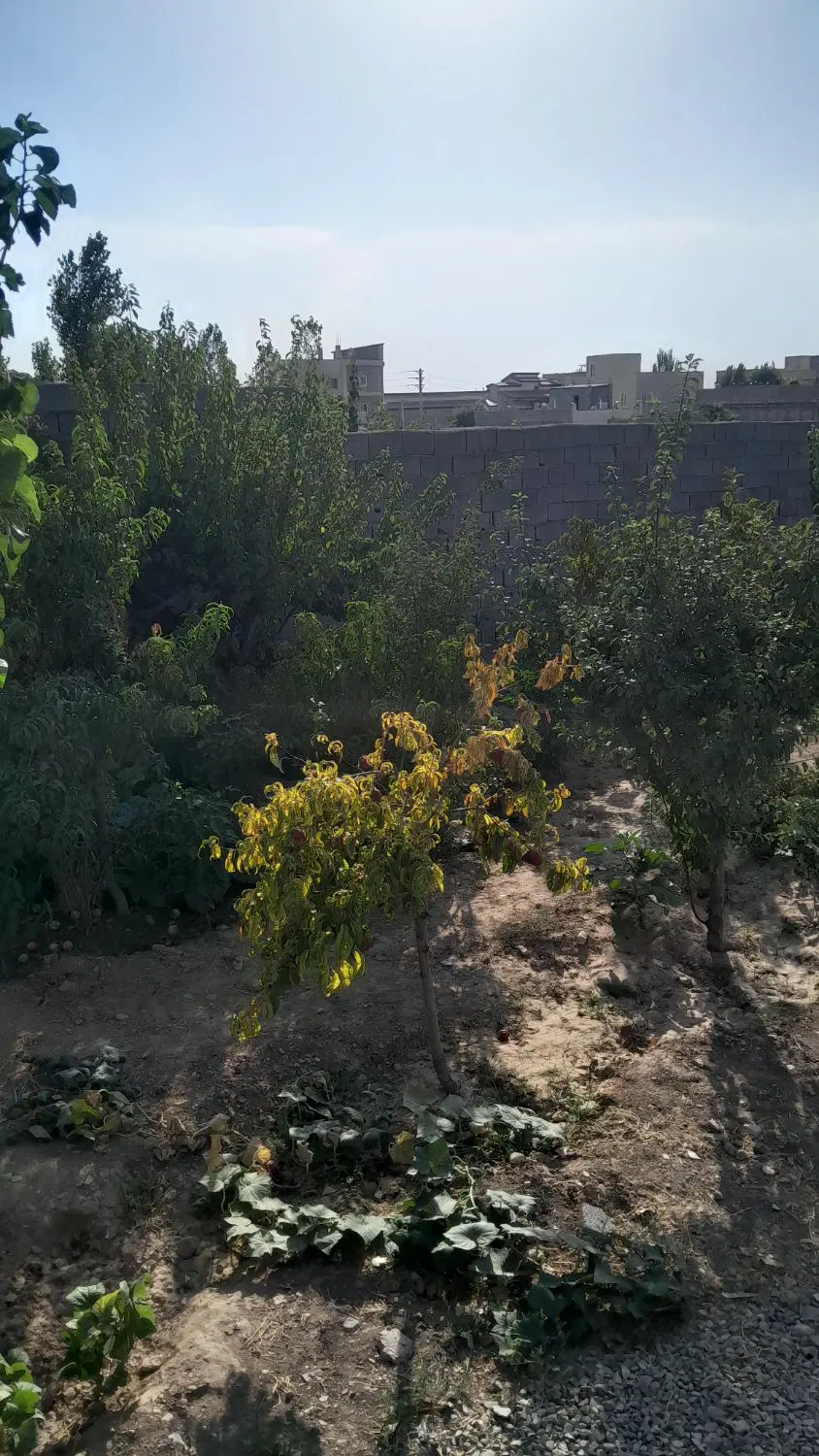 360متر باغچه کردان کوهسار چسب بافت