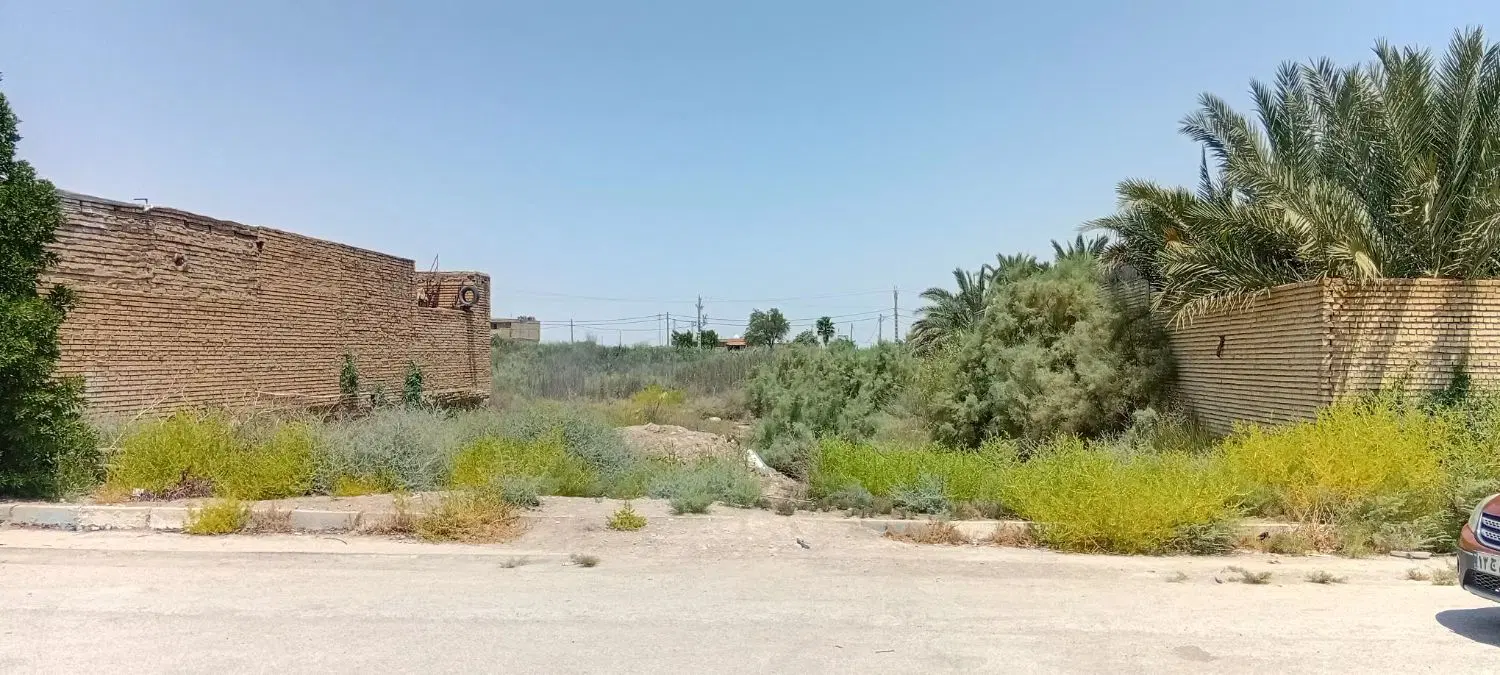 ۱۰۰۰ متر زمین در جزیره مینو