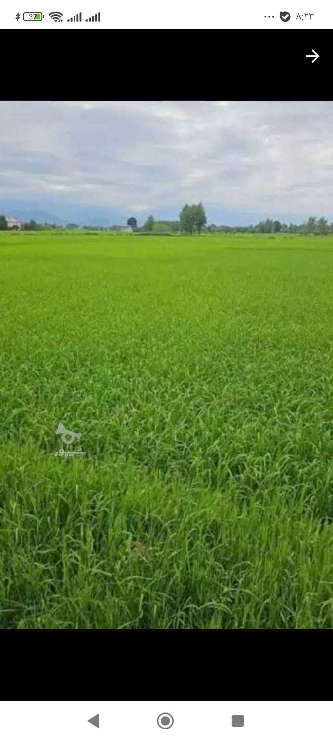 تهاتری یا فروش زمین کشاورزی با ملک یا خودرو