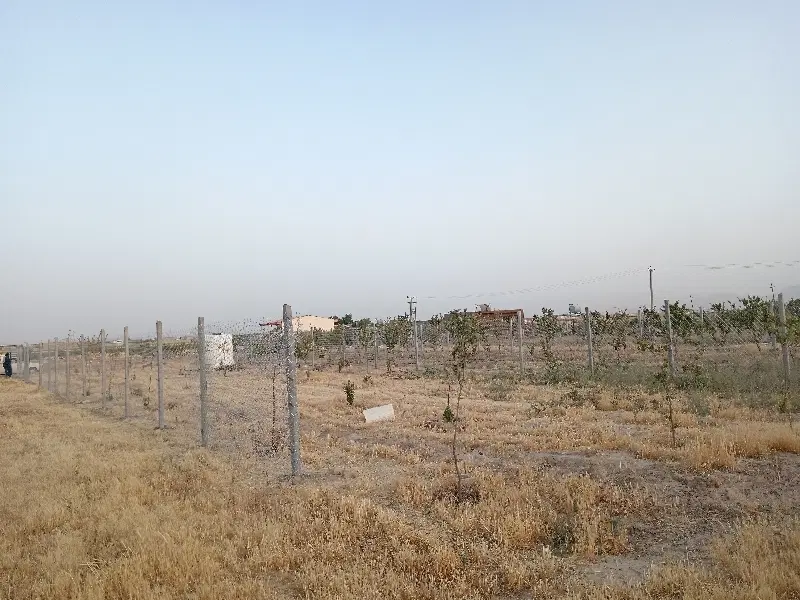 باغ سوسن اباد